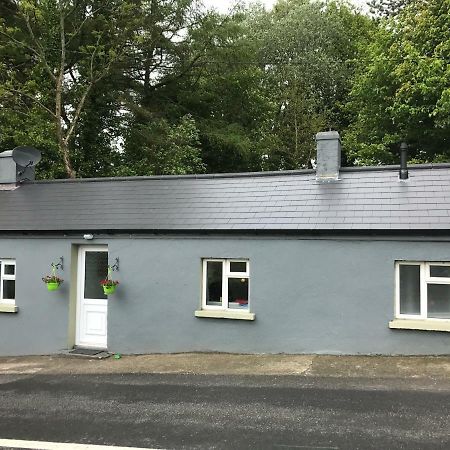 Hobbit Hollow Ballymore Eustace Exterior photo